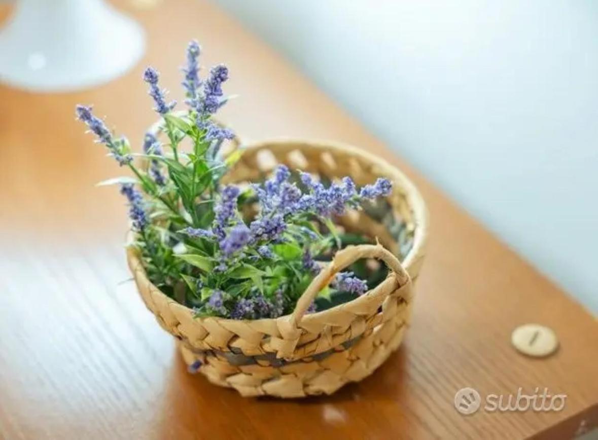 Ballar'Home - Casa Sbriju' ปาแลร์โม ภายนอก รูปภาพ